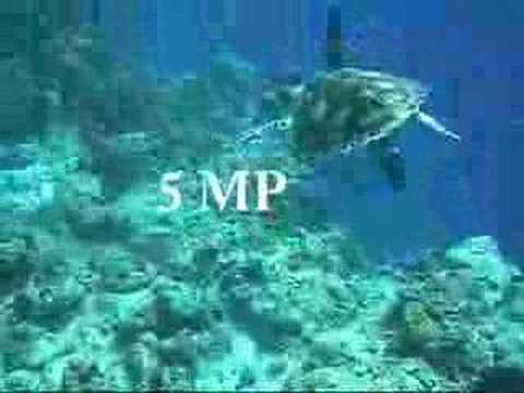 See video