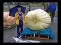 GPC Pumpkin presentation from Niagara Falls Part 1