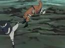 Nauto AMV (Naruto vs Sasuke PT1)