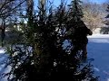 snowboard rodeo flip in backyard