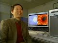 A group of Japanese scientists have successfully taken dramatic movies of the sun's surface. Experts have observed sun spots forming