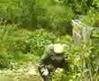 videos de gotcha paint killez 2 domingo 28