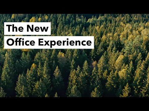 The New Office Experience