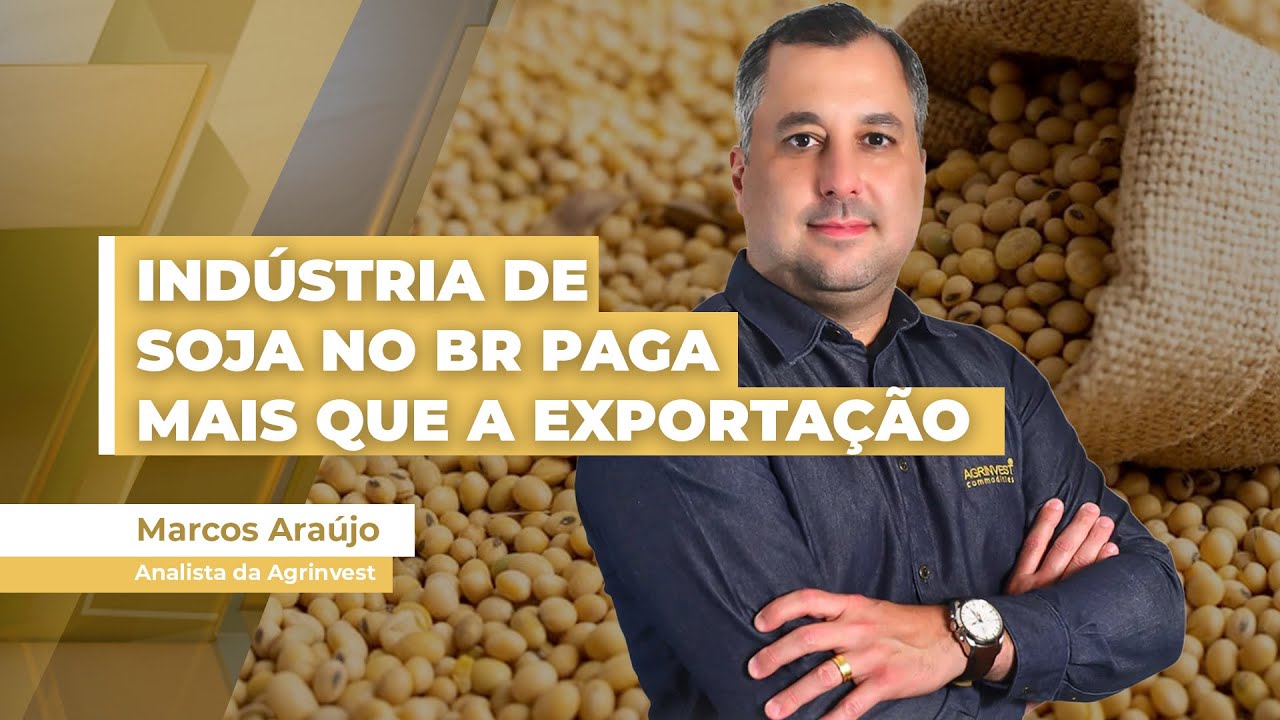 Indústria processadora de soja no Brasil paga mais que a exportação e pode ser opção de vendas...