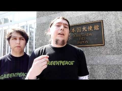 En Argentina y Chile hubo protestas de Greenpeace por condena a activistas japoneses