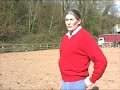 Titch  - Colgate Farm Stallion