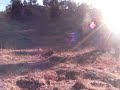 Mudgee hits