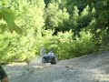 yamaha rhino yamaha rhino