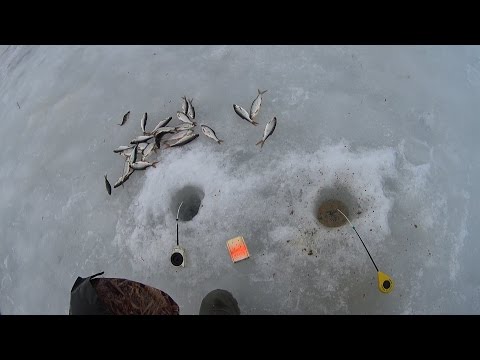 снасть для ловли пассивного снасть для ловли пассивного