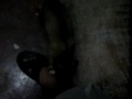 MVI_0445.AVI