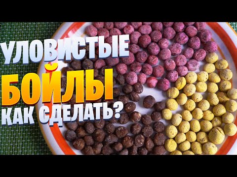 условия для хорошего клева условия для хорошего клева