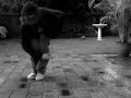 MY LIFE BE LIKE (3WAY CWALK)
