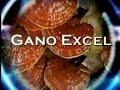 Gano Excel - Ganoderma: Mito o Realidad Gano Excel - Ganoderma: Mito o Realidad