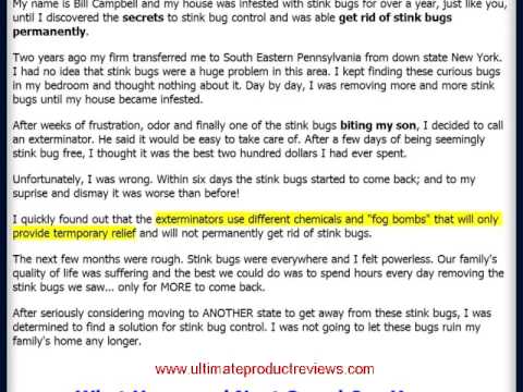 how to get rid of water bugs nyc