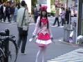 best trip in Japan 2009( Kyoto ,Tokyo ,Osaka, Hiroshima ,Nara )lonely planet