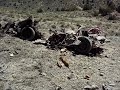 Geo Metro vs. Tannerite.