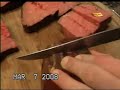 Pellet gun-pellets and meat (School Project)