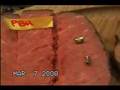 Pellet gun-pellets and meat (School Project)