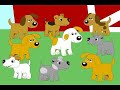 La Granja (kareoke) - Video de Taller IV