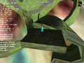 Planetoid gravity in DBP