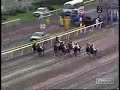 horse racing in Japan