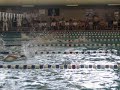 swimming