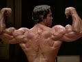 ArnoldRoadToNowhere