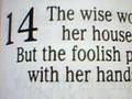 PROVERBS 14
