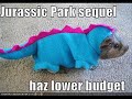 Funny Animals Funny Animals