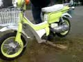 SUZUKI FZ 50