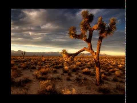 Jammies Jamneck –  Ver in die ou Kalahari