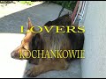 Lovers  zakochani  www.selani.pl
