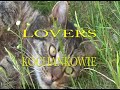 Lovers  zakochani  www.selani.pl