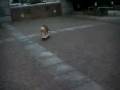tokyo-skateboarding-bulldog-bazooka