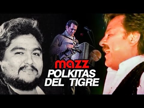 tigre