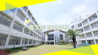 動画のサムネイル