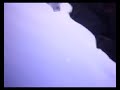 Man Gets Owned By Fish In Maldives Squeals Like A Little Girl
