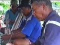Tuvalu Wedding - Food Preparation 4 of 5