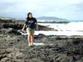 videos de captain does the hula