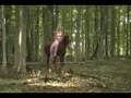 Fantasy Forest Ride, Julie & Stallion