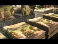 Cityscape.flv