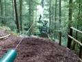 Go Ape - John coming into land on zip line