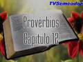 Provérbios - Cap. 12