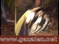 حفله العيادات2