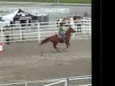 Barrel racing 2