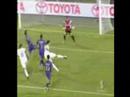 Ibra (zlatan Ibrahimovic)