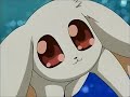 dn angel cap 11 1/3 sub español