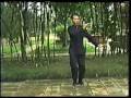 Thai Cuc Quyen 24 thuc/Green Taichi/ Tai chi/Duong Gia/ Yang Style