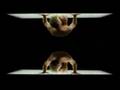 Ricky Martin - Desnudo Words