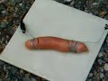 ohminakin paisto motilla (ohm sausage) ohminakin paisto motilla (ohm sausage)